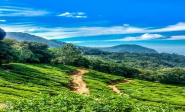 Kerala Tour and Packages, kerala trip package, kerala tour packages, kerala holiday packages, munnar tour package, kerala travel packages, kerala vacation packages, munnar trip, kerala holiday packages, south kerala tour packages, kerala package, kerala trip, kerala tour, kerala trip plan, kerala holiday, kerala family holiday packages, Kerala Honeymoon Packages, Kerala tours and Packages, Kerala tour packages for Family, South Kerala tour Packages, tour packages for kerala, tour packages in kerala, Kerala tour packages for Couple, kerala tours and packages, Honeymoon Packages in Kerala, kochi travel agency, cochin travel agency, tour agency kochi, travel agencies in kochi, kerala travel companies in kochi, travel agency in kerala, travel agents for kerala trip, kerala tour agency, travel agencies in kerala india, kerala travel company, best travel agency in kerala, best tour agency in kerala, kerala tour operators, kerala tour companies, ernakulam travel agencies, best tour operators in kerala, best tour companies in kerala.