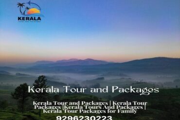 Kerala Tour and Packages, kerala trip package, kerala tour packages, kerala holiday packages, munnar tour package, kerala travel packages, kerala vacation packages, munnar trip, kerala holiday packages, south kerala tour packages, kerala package, kerala trip, kerala tour, kerala trip plan, kerala holiday, kerala family holiday packages, Kerala Honeymoon Packages, Kerala tours and Packages, Kerala tour packages for Family, South Kerala tour Packages, tour packages for kerala, tour packages in kerala, Kerala tour packages for Couple, kerala tours and packages, Honeymoon Packages in Kerala, kochi travel agency, cochin travel agency, tour agency kochi, travel agencies in kochi, kerala travel companies in kochi, travel agency in kerala, travel agents for kerala trip, kerala tour agency, travel agencies in kerala india, kerala travel company, best travel agency in kerala, best tour agency in kerala, kerala tour operators, kerala tour companies, ernakulam travel agencies, best tour operators in kerala, best tour companies in kerala.