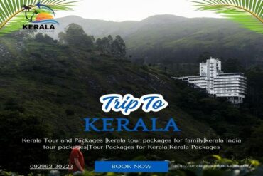 Kerala Tour and Packages, kerala trip package, kerala tour packages, kerala holiday packages, munnar tour package, kerala travel packages, kerala vacation packages, munnar trip, kerala holiday packages, south kerala tour packages, kerala package, kerala trip, kerala tour, kerala trip plan, kerala holiday, kerala family holiday packages, Kerala Honeymoon Packages, Kerala tours and Packages, Kerala tour packages for Family, South Kerala tour Packages, tour packages for kerala, tour packages in kerala, Kerala tour packages for Couple, kerala tours and packages, Honeymoon Packages in Kerala, kochi travel agency, cochin travel agency, tour agency kochi, travel agencies in kochi, kerala travel companies in kochi, travel agency in kerala, travel agents for kerala trip, kerala tour agency, travel agencies in kerala india, kerala travel company, best travel agency in kerala, best tour agency in kerala, kerala tour operators, kerala tour companies, ernakulam travel agencies, best tour operators in kerala, best tour companies in kerala.