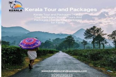 Kerala Tour and Packages, kerala trip package, kerala tour packages, kerala holiday packages, munnar tour package, kerala travel packages, kerala vacation packages, munnar trip, kerala holiday packages, south kerala tour packages, kerala package, kerala trip, kerala tour, kerala trip plan, kerala holiday, kerala family holiday packages, Kerala Honeymoon Packages, Kerala tours and Packages, Kerala tour packages for Family, South Kerala tour Packages, tour packages for kerala, tour packages in kerala, Kerala tour packages for Couple, kerala tours and packages, Honeymoon Packages in Kerala, kochi travel agency, cochin travel agency, tour agency kochi, travel agencies in kochi, kerala travel companies in kochi, travel agency in kerala, travel agents for kerala trip, kerala tour agency, travel agencies in kerala india, kerala travel company, best travel agency in kerala, best tour agency in kerala, kerala tour operators, kerala tour companies, ernakulam travel agencies, best tour operators in kerala, best tour companies in kerala.
