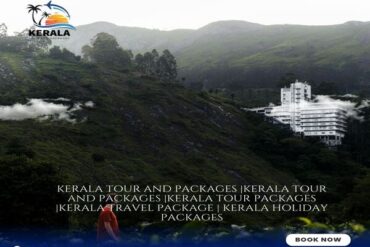 Kerala Tour and Packages, kerala trip package, kerala tour packages, kerala holiday packages, munnar tour package, kerala travel packages, kerala vacation packages, munnar trip, kerala holiday packages, south kerala tour packages, kerala package, kerala trip, kerala tour, kerala trip plan, kerala holiday, kerala family holiday packages, Kerala Honeymoon Packages, Kerala tours and Packages, Kerala tour packages for Family, South Kerala tour Packages, tour packages for kerala, tour packages in kerala, Kerala tour packages for Couple, kerala tours and packages, Honeymoon Packages in Kerala, kochi travel agency, cochin travel agency, tour agency kochi, travel agencies in kochi, kerala travel companies in kochi, travel agency in kerala, travel agents for kerala trip, kerala tour agency, travel agencies in kerala india, kerala travel company, best travel agency in kerala, best tour agency in kerala, kerala tour operators, kerala tour companies, ernakulam travel agencies, best tour operators in kerala, best tour companies in kerala.