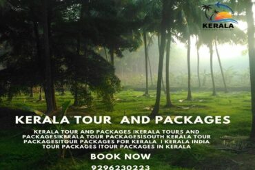 Kerala Tour and Packages, kerala trip package, kerala tour packages, kerala holiday packages, munnar tour package, kerala travel packages, kerala vacation packages, munnar trip, kerala holiday packages, south kerala tour packages, kerala package, kerala trip, kerala tour, kerala trip plan, kerala holiday, kerala family holiday packages, Kerala Honeymoon Packages, Kerala tours and Packages, Kerala tour packages for Family, South Kerala tour Packages, tour packages for kerala, tour packages in kerala, Kerala tour packages for Couple, kerala tours and packages, Honeymoon Packages in Kerala, kochi travel agency, cochin travel agency, tour agency kochi, travel agencies in kochi, kerala travel companies in kochi, travel agency in kerala, travel agents for kerala trip, kerala tour agency, travel agencies in kerala india, kerala travel company, best travel agency in kerala, best tour agency in kerala, kerala tour operators, kerala tour companies, ernakulam travel agencies, best tour operators in kerala, best tour companies in kerala.