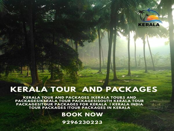 Kerala Tour and Packages, kerala trip package, kerala tour packages, kerala holiday packages, munnar tour package, kerala travel packages, kerala vacation packages, munnar trip, kerala holiday packages, south kerala tour packages, kerala package, kerala trip, kerala tour, kerala trip plan, kerala holiday, kerala family holiday packages, Kerala Honeymoon Packages, Kerala tours and Packages, Kerala tour packages for Family, South Kerala tour Packages, tour packages for kerala, tour packages in kerala, Kerala tour packages for Couple, kerala tours and packages, Honeymoon Packages in Kerala, kochi travel agency, cochin travel agency, tour agency kochi, travel agencies in kochi, kerala travel companies in kochi, travel agency in kerala, travel agents for kerala trip, kerala tour agency, travel agencies in kerala india, kerala travel company, best travel agency in kerala, best tour agency in kerala, kerala tour operators, kerala tour companies, ernakulam travel agencies, best tour operators in kerala, best tour companies in kerala.