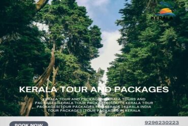 Kerala Tour and Packages, kerala trip package, kerala tour packages, kerala holiday packages, munnar tour package, kerala travel packages, kerala vacation packages, munnar trip, kerala holiday packages, south kerala tour packages, kerala package, kerala trip, kerala tour, kerala trip plan, kerala holiday, kerala family holiday packages, Kerala Honeymoon Packages, Kerala tours and Packages, Kerala tour packages for Family, South Kerala tour Packages, tour packages for kerala, tour packages in kerala, Kerala tour packages for Couple, kerala tours and packages, Honeymoon Packages in Kerala, kochi travel agency, cochin travel agency, tour agency kochi, travel agencies in kochi, kerala travel companies in kochi, travel agency in kerala, travel agents for kerala trip, kerala tour agency, travel agencies in kerala india, kerala travel company, best travel agency in kerala, best tour agency in kerala, kerala tour operators, kerala tour companies, ernakulam travel agencies, best tour operators in kerala, best tour companies in kerala.