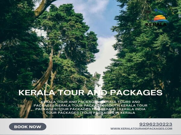 Kerala Tour and Packages, kerala trip package, kerala tour packages, kerala holiday packages, munnar tour package, kerala travel packages, kerala vacation packages, munnar trip, kerala holiday packages, south kerala tour packages, kerala package, kerala trip, kerala tour, kerala trip plan, kerala holiday, kerala family holiday packages, Kerala Honeymoon Packages, Kerala tours and Packages, Kerala tour packages for Family, South Kerala tour Packages, tour packages for kerala, tour packages in kerala, Kerala tour packages for Couple, kerala tours and packages, Honeymoon Packages in Kerala, kochi travel agency, cochin travel agency, tour agency kochi, travel agencies in kochi, kerala travel companies in kochi, travel agency in kerala, travel agents for kerala trip, kerala tour agency, travel agencies in kerala india, kerala travel company, best travel agency in kerala, best tour agency in kerala, kerala tour operators, kerala tour companies, ernakulam travel agencies, best tour operators in kerala, best tour companies in kerala.